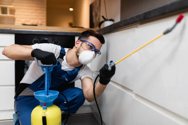 Best Bed Bug Extermination  in Westke, LA