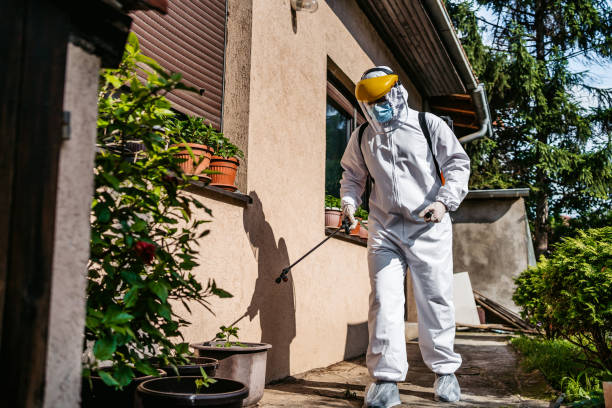 Best Affordable Pest Control Services  in Westke, LA
