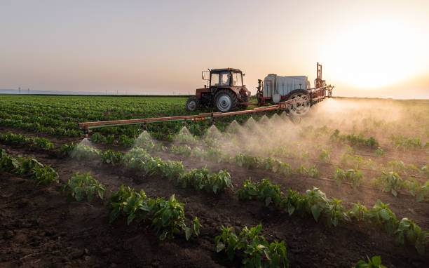 Best Pest Control for Homes  in Westke, LA