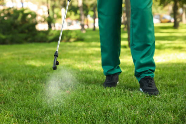 Best Insect Control  in Westke, LA