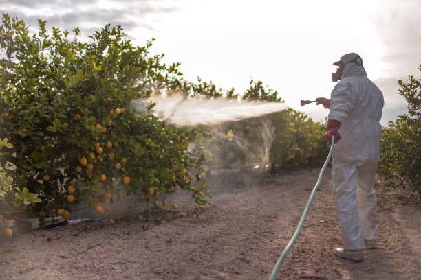 Best Pest Control Cost  in Westke, LA