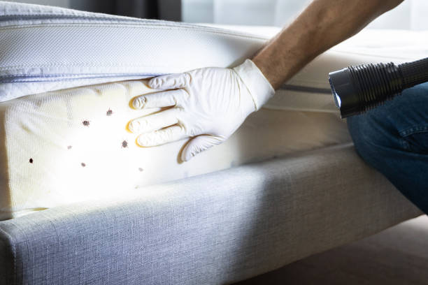 Best Pest Prevention Services  in Westke, LA