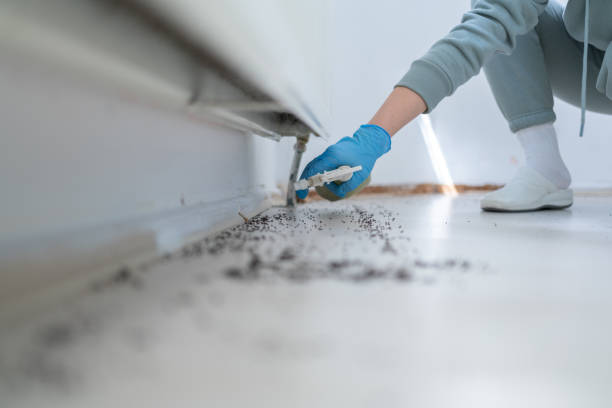 Best Wildlife Control Services  in Westke, LA