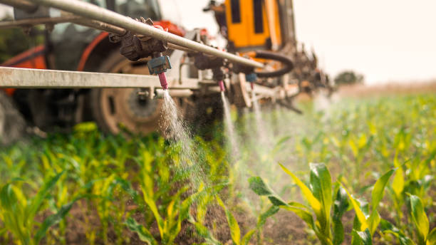 Professional Pest Control in Westlake, LA