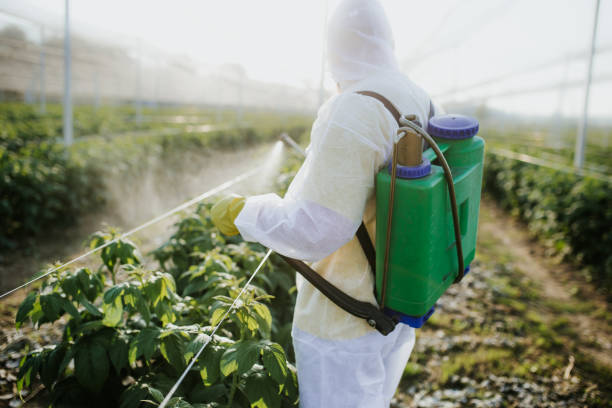 Best Ant Control Services  in Westke, LA